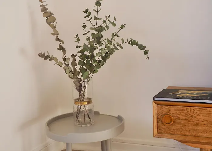Appartement Proche De Libération Avec Balcon Ensoleillé Nice